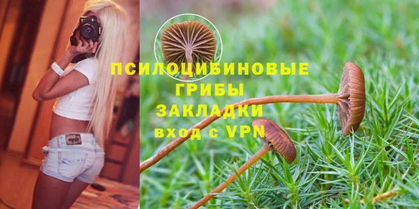 твердый Балабаново