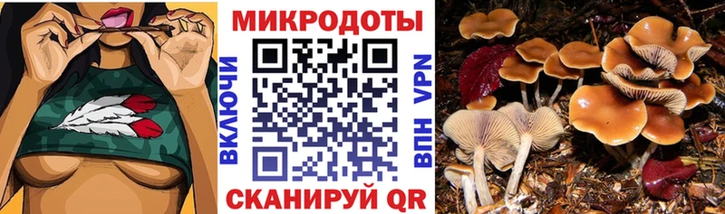 Псилоцибиновые грибы Magic Shrooms Лесозаводск