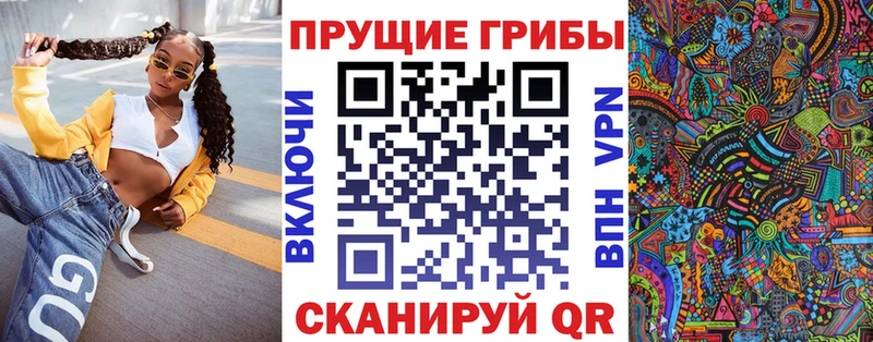 как найти закладки  Лесозаводск  Галлюциногенные грибы GOLDEN TEACHER 