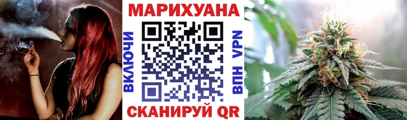 Марихуана сатива  Лесозаводск 
